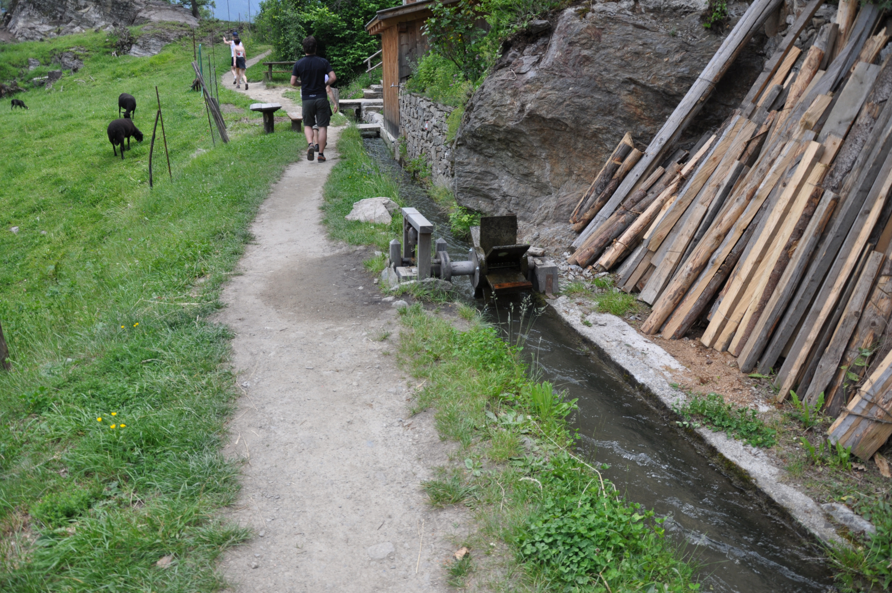 DSC_0130