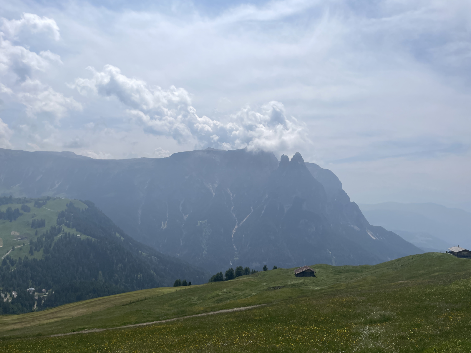 IMG_0662