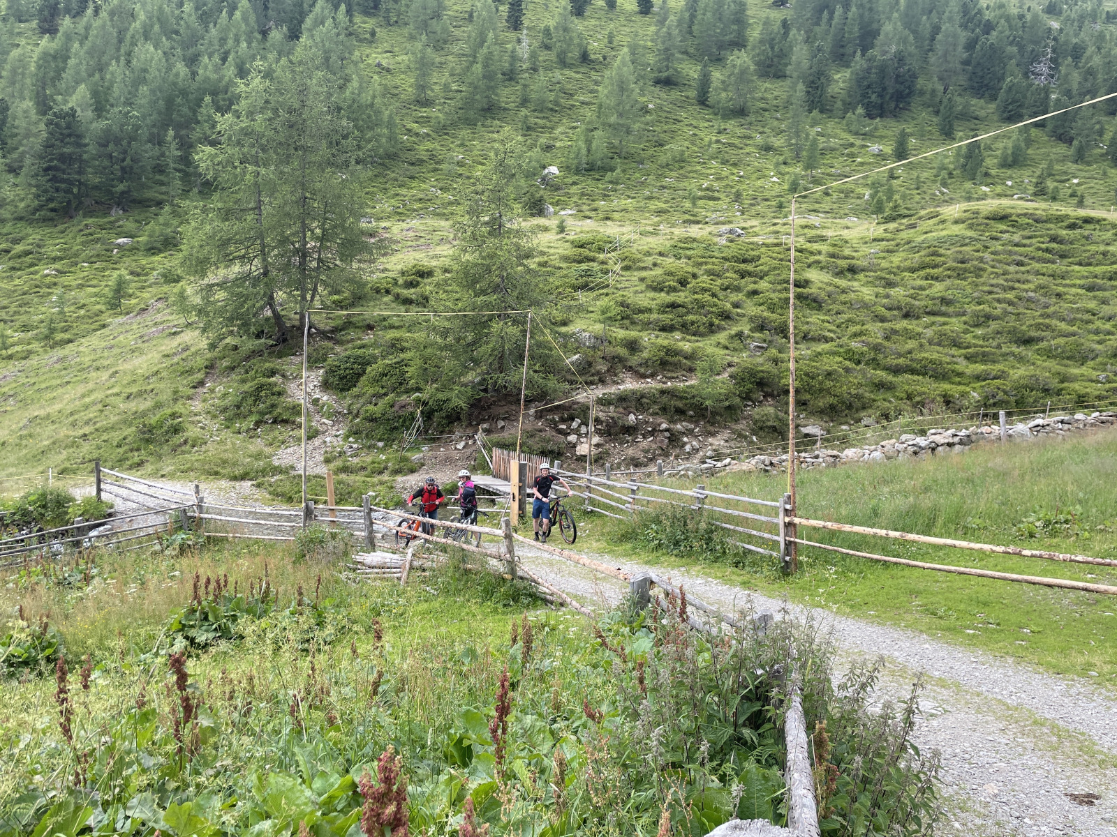 F9469951-D240-4BC9-B1E4-EF39A494AEA0-56745-000017380B2C7BAA