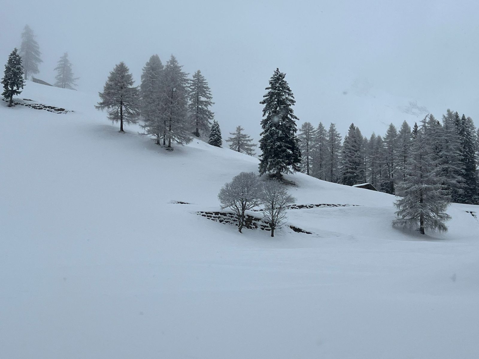IMG-20260129-WA0035