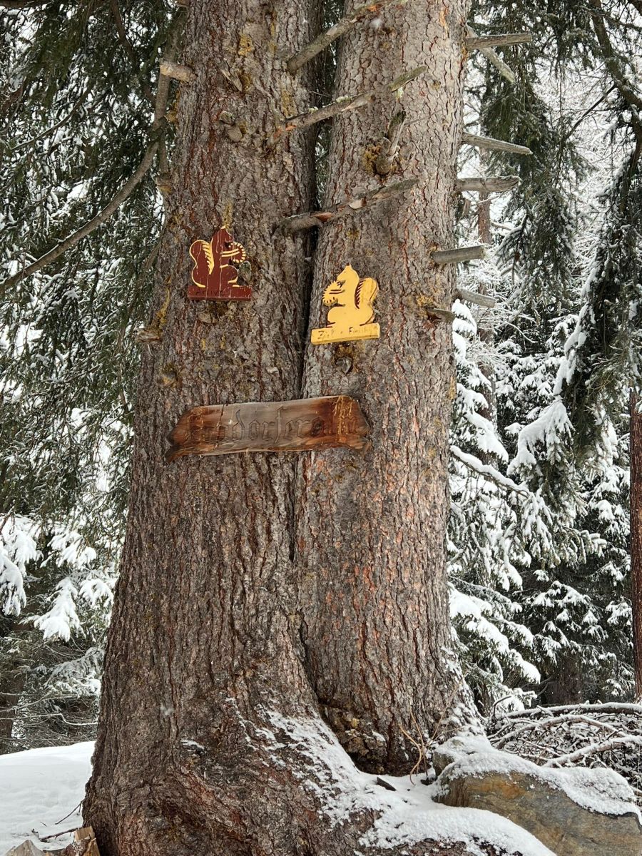 IMG-20260129-WA0039