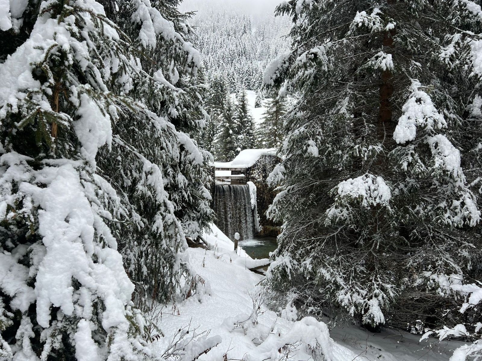 IMG-20260129-WA0053