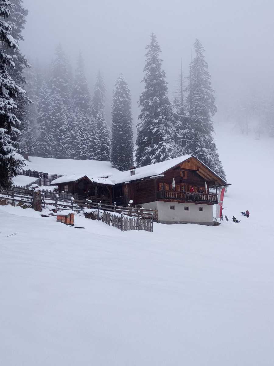 IMG-20260129-WA0060