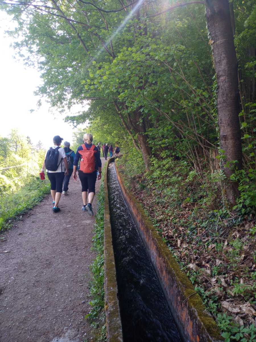 IMG-20260417-WA0002