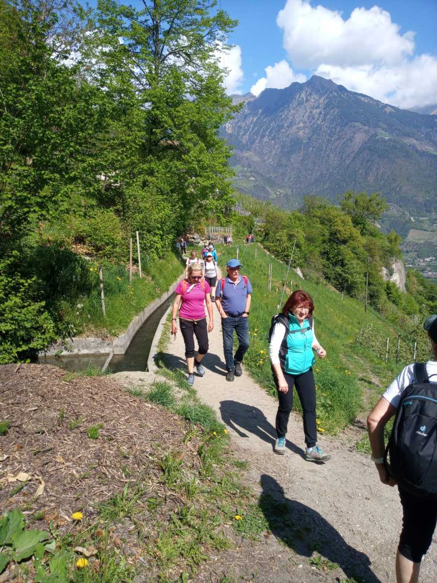 IMG-20260417-WA0017