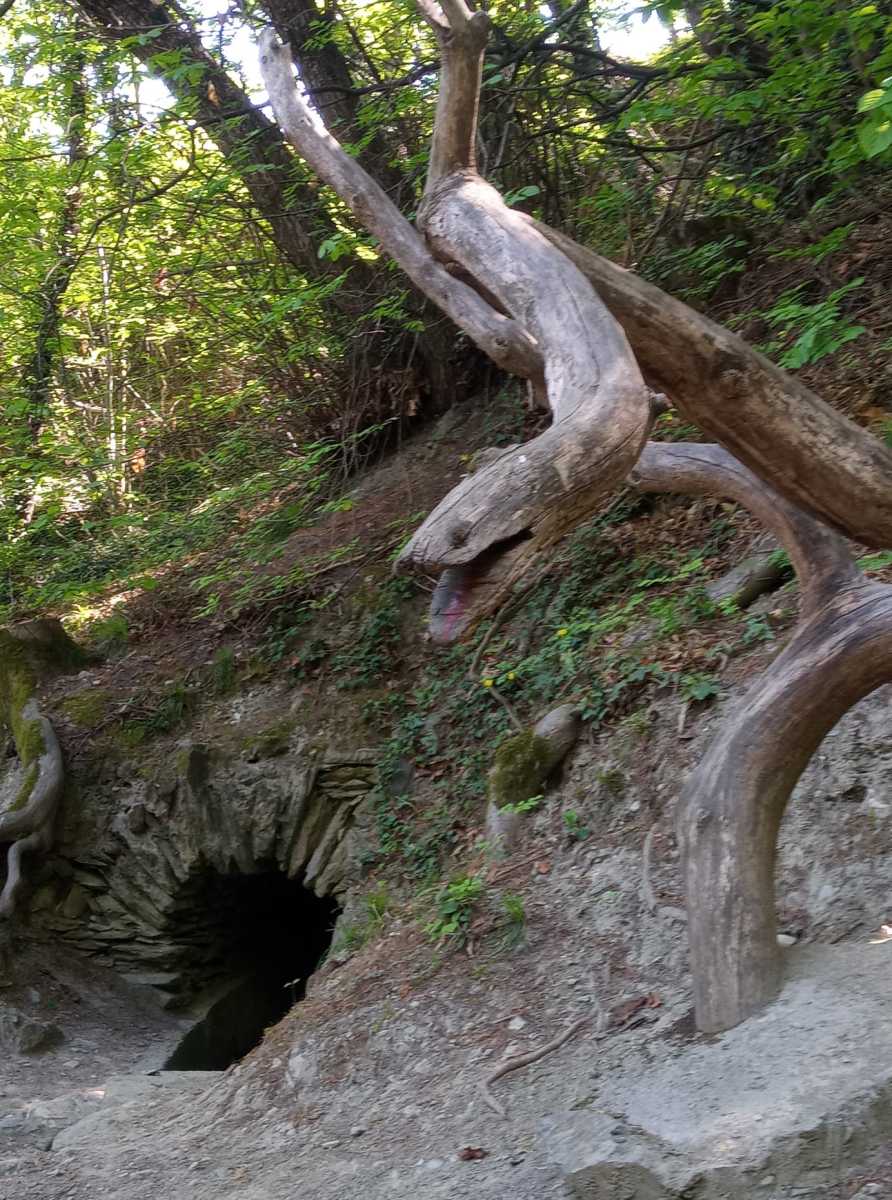 IMG-20260417-WA0025