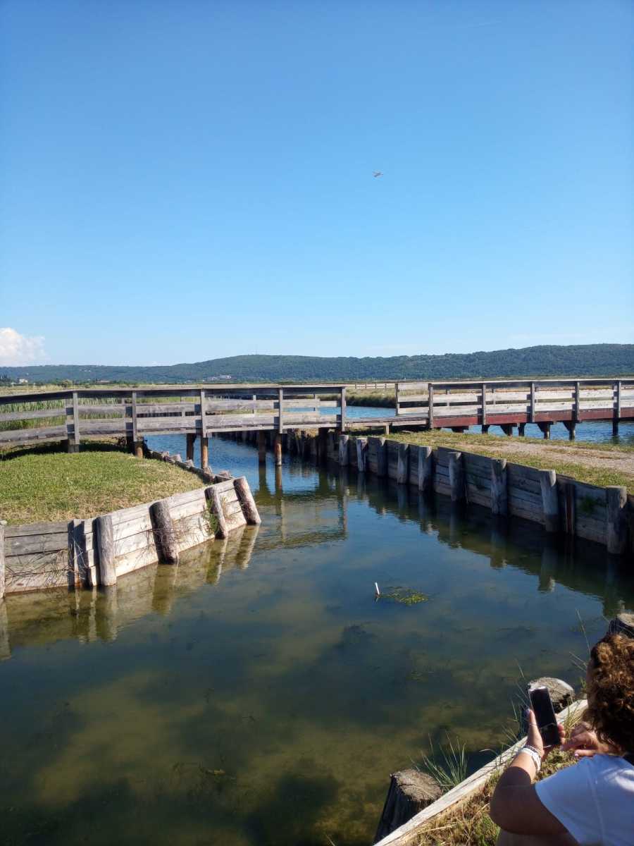 IMG-20260601-WA0007