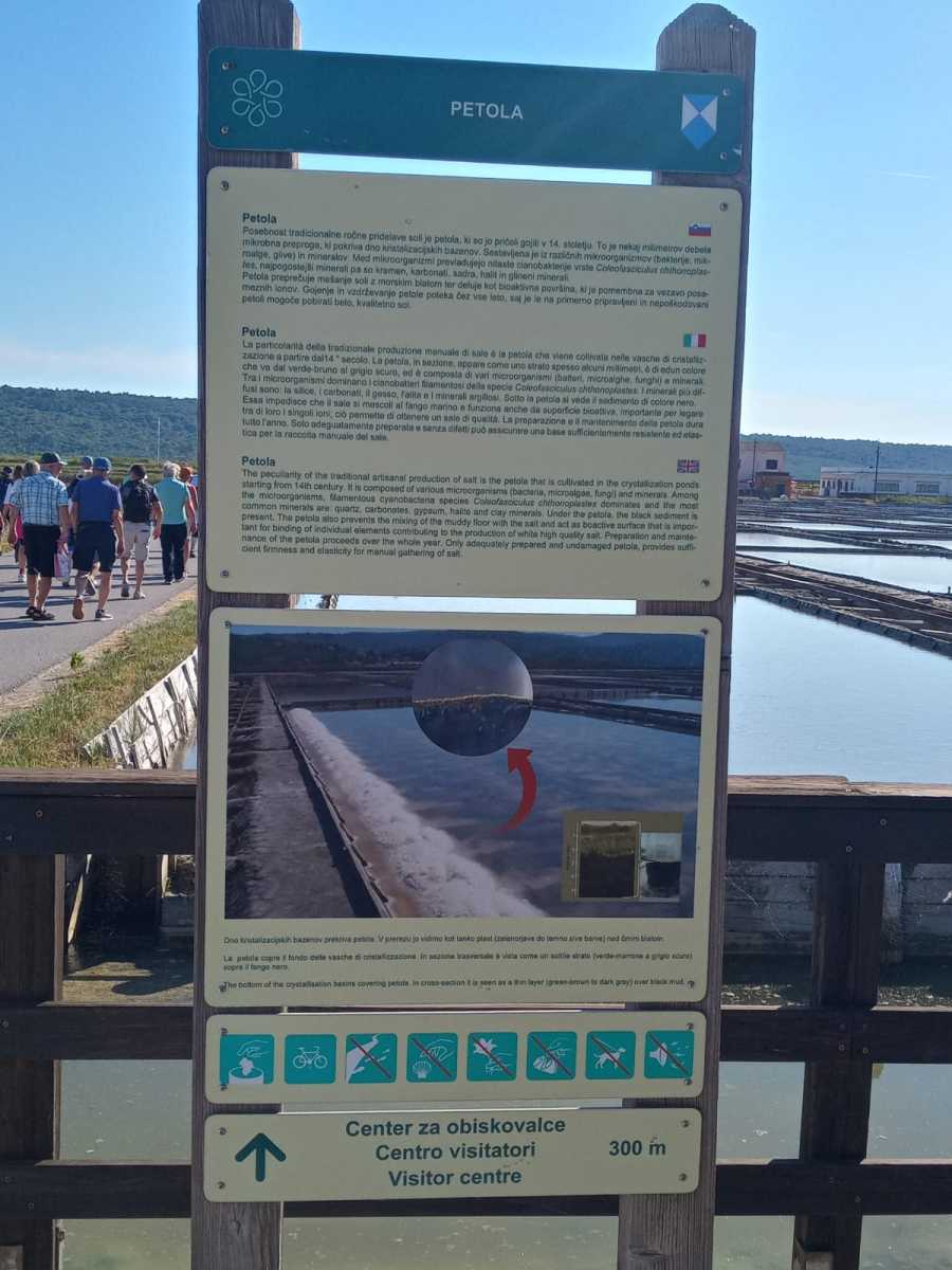 IMG-20260601-WA0010